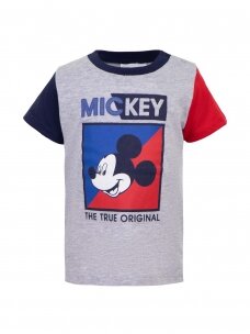 Pilki marškinėliai Mickey Mouse 3102D90