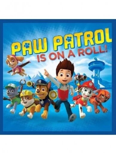 Veido ir rankų rankšluostis Paw Patrol Magic 3062D04